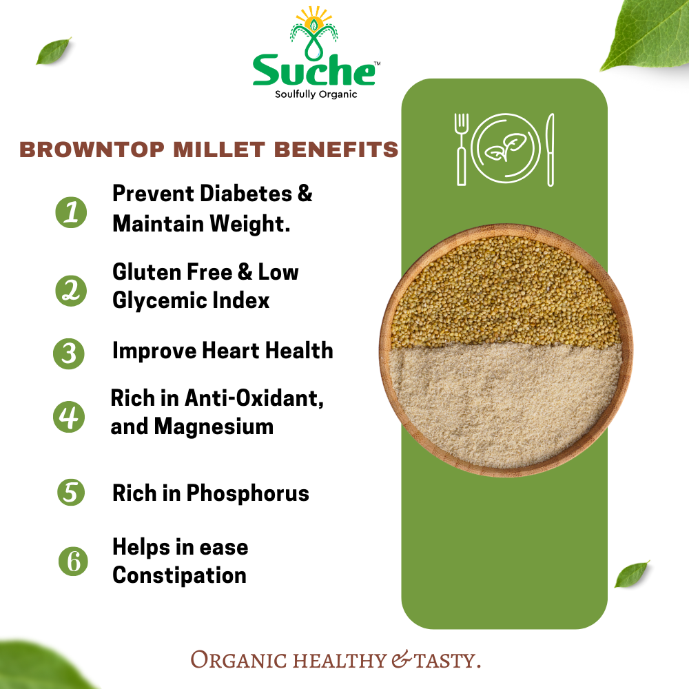 Organic Browntop Millet Flour