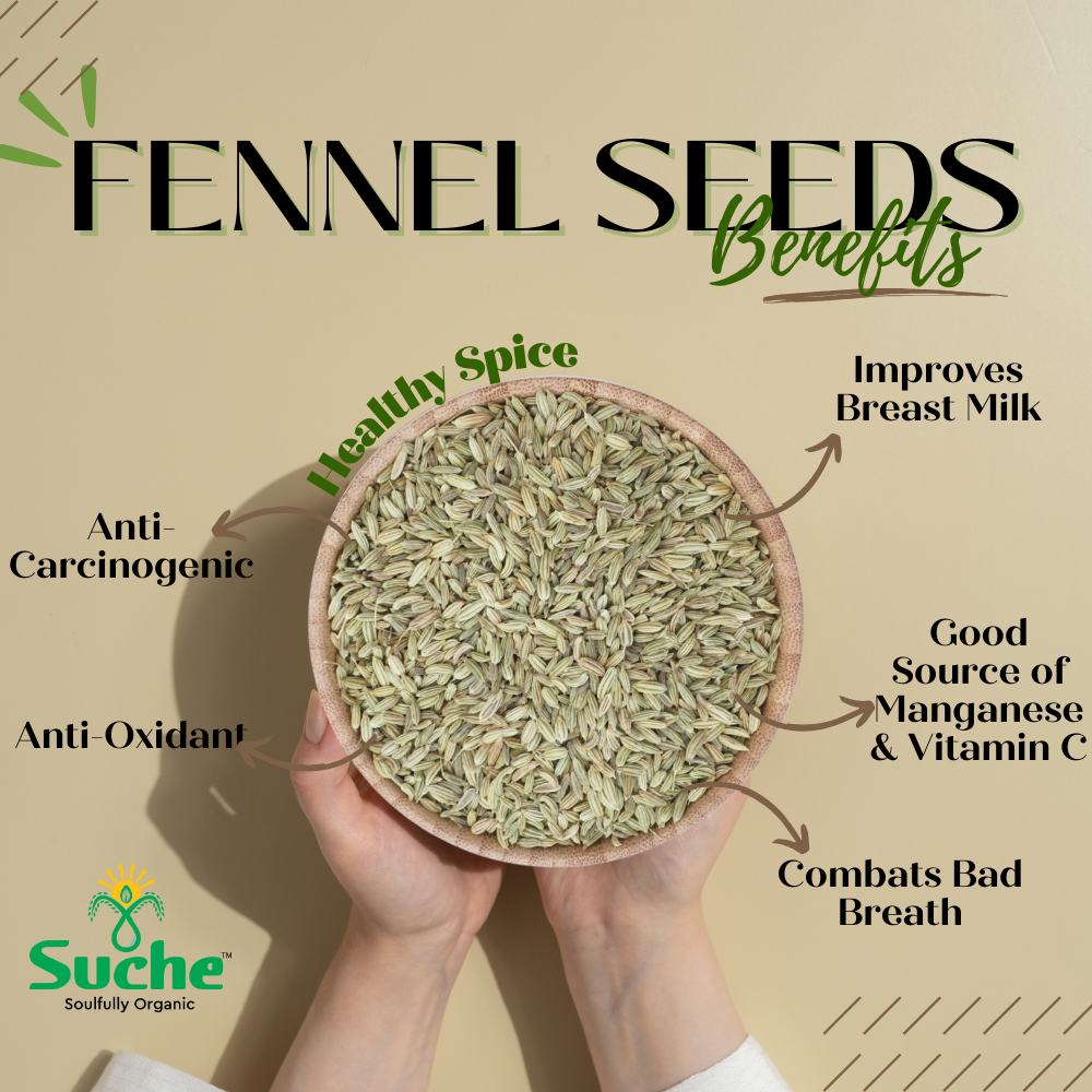 Organic Fennel seeds / Saunf
