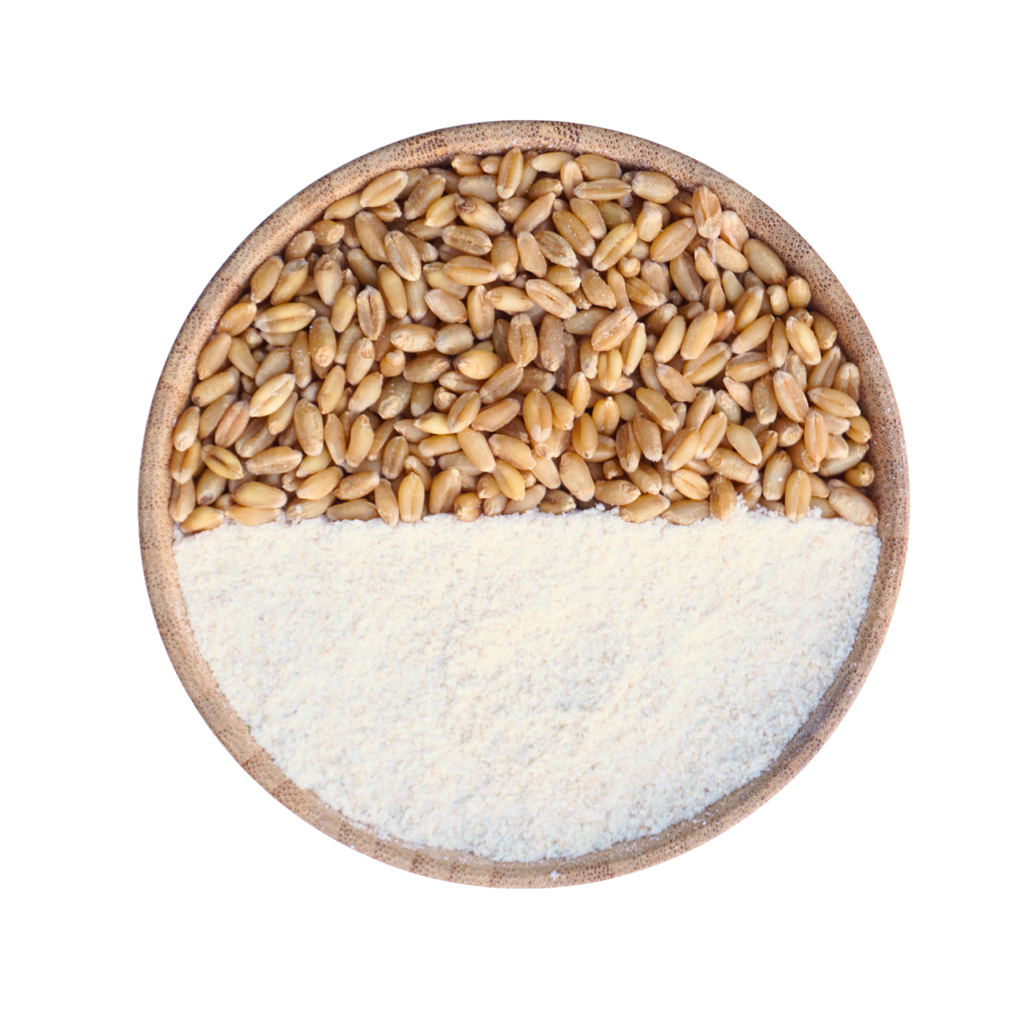 Organic Whole Wheat Flour (Sharbati) - Stone Grounded