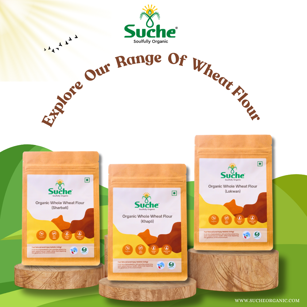 Organic Whole Wheat Flour (Sharbati) - Stone Grounded