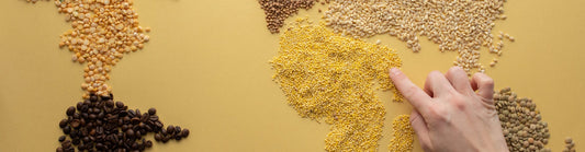 Why should you start consuming millet?