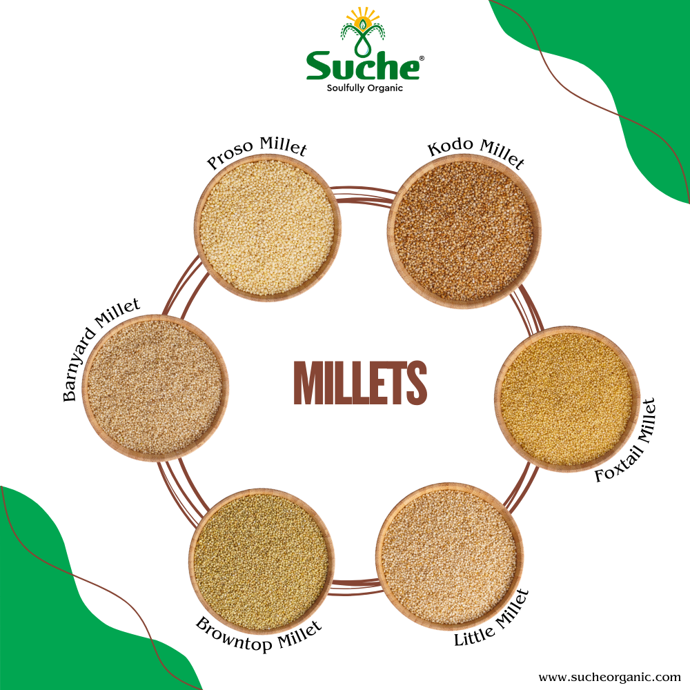 Organic Millets Combo Pack Of 6(Barnyard,Proso,Kodo,Little,Browntop,Foxtail)