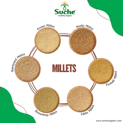 Organic Millets Combo Pack Of 6(Barnyard,Proso,Kodo,Little,Browntop,Foxtail)