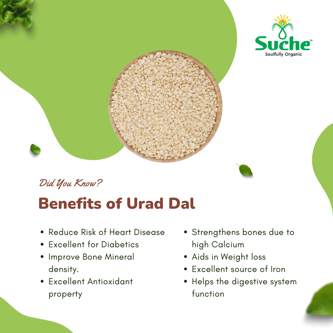 Urad Dal White Split